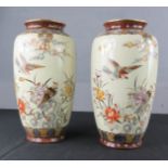 A pair of Chinese vases. depicting birds amidst peonies, 37cm high.