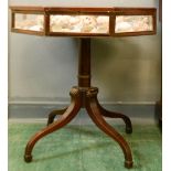 A mahogany vitrine/display table, with a glazed octagonal box top containing specimen shells, raised