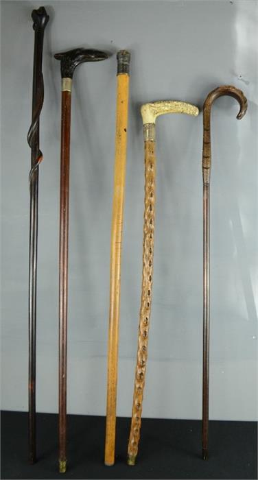 A group of five walking canes, of various style.