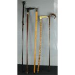 A group of five walking canes, of various style.