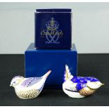 Two Royal Crown Derby birds, both with original boxes.