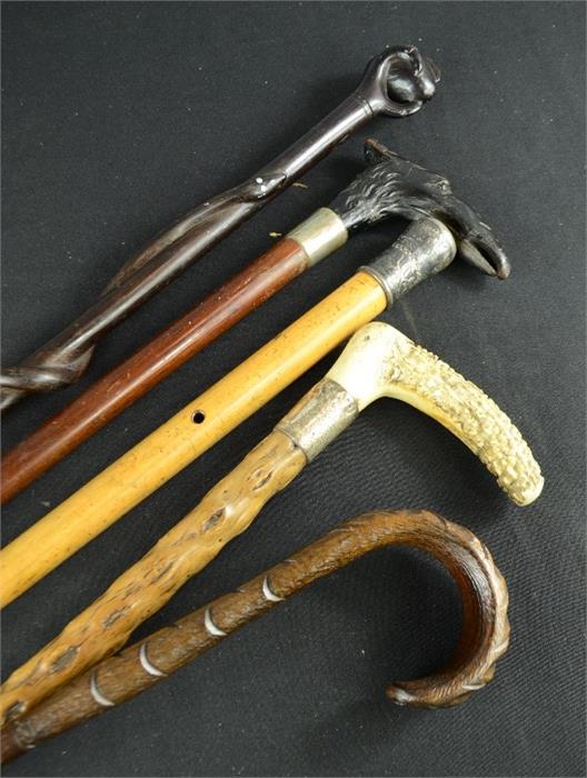 A group of five walking canes, of various style. - Bild 2 aus 2