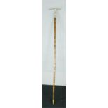 A specimen wood walking cane, with Gem hammer to the top.