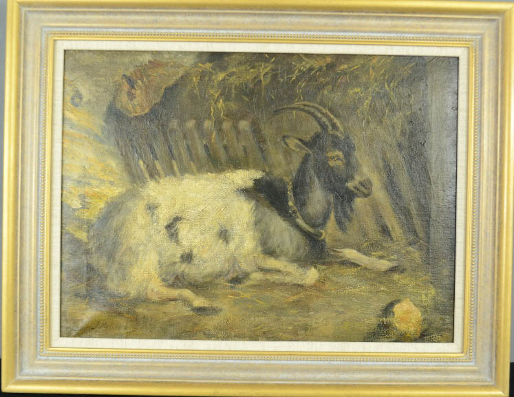 John Richie RSBA (19th century: 1834-1892): Goat, oil on canvas, signed.