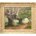 A 19th century oil on canvas, unsigned, depicting black pigs and a figure within a woodland