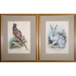 NORMAN ORR Mountain Hare and Pheasant Signed, pair of watercolours,