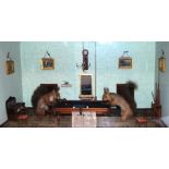 Victorian taxidermy interior diorama, modelled with two squirrels playing billiards, unlabelled,