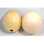 Pair of hollow blown ostrich eggs, both 14cm long.