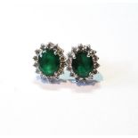 Pair of emerald and diamond oval cluster earrings in white gold, probably 18ct.