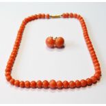 Victorian necklet of graduated coral beads and a pair of similar ear studs,