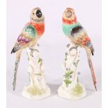 Pair of Meissen style continental porcelain bird models raised on naturalistic trunk bases with