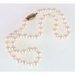 Single strand of fifty cultured pearls with 9ct gold clasp.