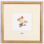 ELSPETH HARRIGAN Toadstools III Signed, watercolour,