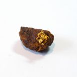 Gold nugget in native rock. Condition Report This is about 25mm max.