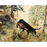 HENRY WILKINSON (1921 - 2011) Labrador retrieving pheasant Signed, oil on canvas, 49cm x 65cm.