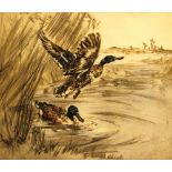 HENRY WILKINSON (1921 - 2011) Mallard Ducks Signed in pencil, coloured etching, 6/100, 25cm x 30cm.