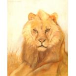 WILLIAM MILES JOHNSTON (1893 - 1974) Lion Signed, pastel, 43cm x 35cm.