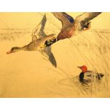 GEORGE VERNON STOKES (1873 - 1954) Ducks over water Signed in pencil, coloured etching, 36/75,