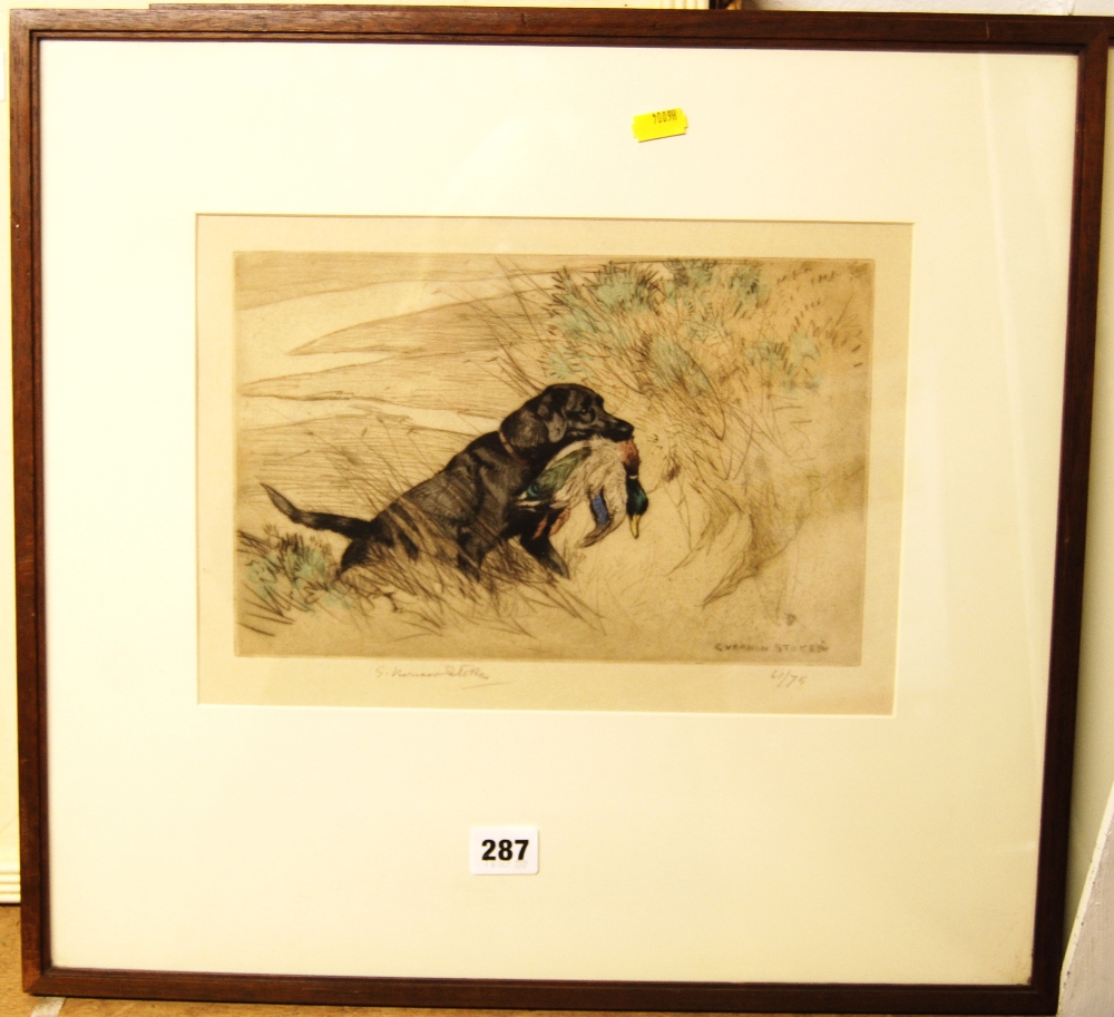 GEORGE VERNON STOKES (1873 - 1954) Labrador retrieving a duck Signed in pencil, coloured etching, - Image 4 of 5