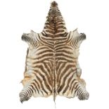 Burchell's Zebra, rug, Africa, 1960s, unlined zebra hide, 57" x 85" Please contact The John Toomey