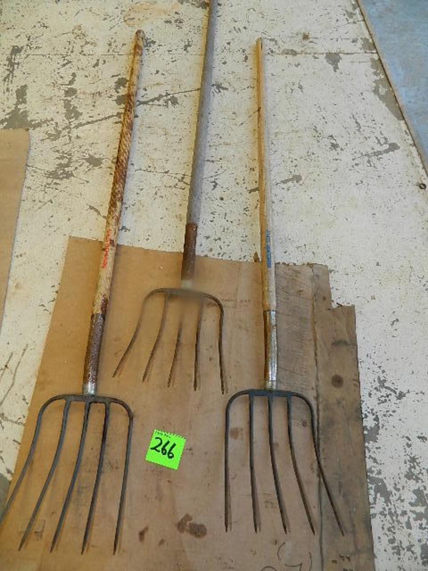 (3) AMES Pitch Forks 5 Tines Forks - Image 2 of 2