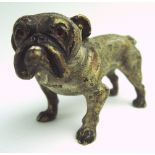 Austrian Cold Painted Bulldog c.1900