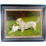 "Dandie Dinmont w/Jack Russell Terrier" O/C