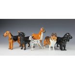 A collection of six Royal Doulton dogs, to include; Black Labrador HN2667, 12.