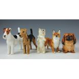 A collection of five Royal Doulton dogs, to include; Airedale Terrier HN1024 10cm high,
