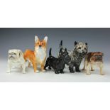 A collection of five Royal Doulton dogs, to include; a Corgi HN3558 12.