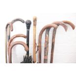 A selection of seven walking sticks to include a mottled hard wood example and a white metal