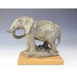 Thomas Symington Halliday (1902-1998), Bronzed teracotta, Study of an elephant on mahogany base,