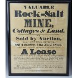 Valuable Rock Salt Mine, Cottages & Land, 19th century printed auction poster,