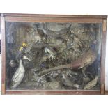 A late Victorian taxidermy bird group, modelled in naturalistic setting, in mahogany case,