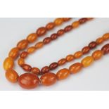 An amber bead necklace, designed as seventy seven beads, graduating from 12mm - 27mm wide,