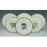 Twelve Royal Worcester hand painted plates designed by A H Williamson,
