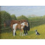 John Brian Evanson (20th century British), Oil on board, Mare and foal in a field with dog,