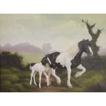 John Brian Evanson (20th century British), Oil on canvas, Piebald mare and foal in a field,