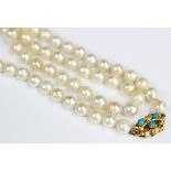 A single strand cultured pearl necklace,