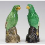 A pair of Sancai glazed Chinese parrots, each green bird modelled perched on a stump,