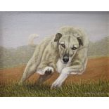 John Brian Evanson (20th century British), Oil on canvas, Greyhound in a field, Signed,