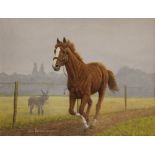 John Brian Evanson (20th century British), Oil on canvas, Chestnut race horse on the gallop, 34.