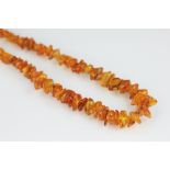 An amber necklace, the single graduated strand with attached bolt ring clasp,