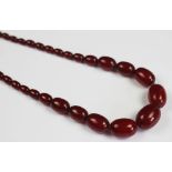A 'cherry' amber graduated bead necklace, weight 79.