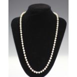A single strand uniform cultured pearl necklace (each pearl approx 5mm diameter),