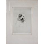 Harry Goffey (1871-1951), Etching, 'Taffy', a study of a dog, signed and titled in pencil,