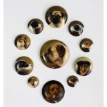 A collection of nine Victorian enamelled miniature dog portraits, W. B.