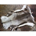 A Reindeer skin rug, 166cm long, with a smaller similar rug, three sheep skin rugs,