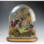 A late Victorian taxidermy bird group, of seven birds in naturalistic setting,