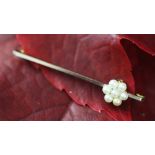 A seed pearl set stock pin,